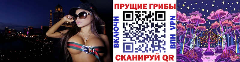 Купить где  Бабаево  Псилоцибиновые грибы мицелий 